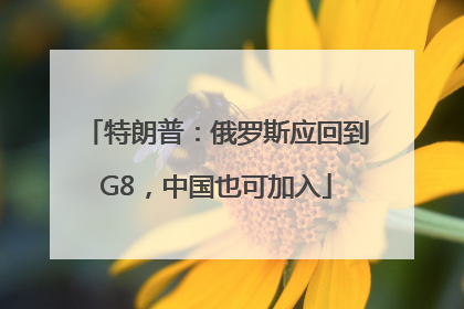 特朗普：俄罗斯应回到G8，中国也可加入