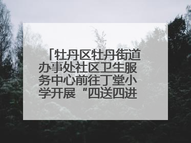 牡丹区牡丹街道办事处社区卫生服务中心前往丁堂小学开展“四送四进四提升”及无烟日宣传活动