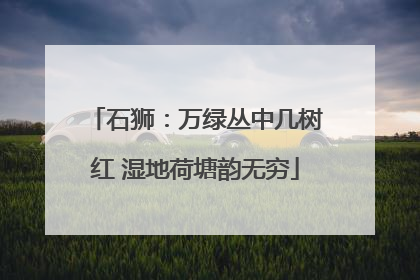 石狮：万绿丛中几树红 湿地荷塘韵无穷