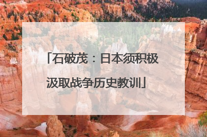 石破茂：日本须积极汲取战争历史教训