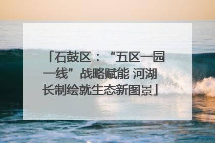 石鼓区：“五区一园一线”战略赋能 河湖长制绘就生态新图景