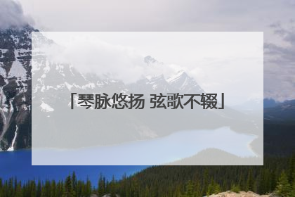 琴脉悠扬 弦歌不辍