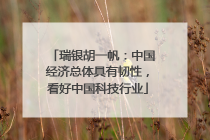 瑞银胡一帆：中国经济总体具有韧性，看好中国科技行业