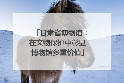 甘肃省博物馆：在文物保护中彰显博物馆多重价值