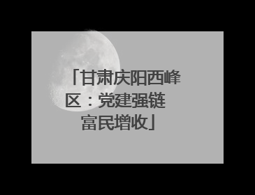 甘肃庆阳西峰区：党建强链 富民增收