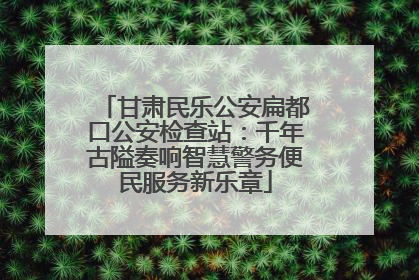甘肃民乐公安扁都口公安检查站：千年古隘奏响智慧警务便民服务新乐章
