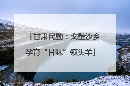 甘肃民勤：戈壁沙乡孕育“甘味”领头羊
