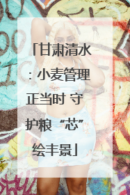 甘肃清水：小麦管理正当时 守护粮“芯”绘丰景