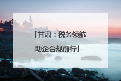 甘肃：税务领航 助企合规前行