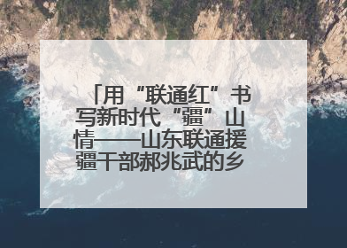 用“联通红”书写新时代“疆”山情——山东联通援疆干部郝兆武的乡村振兴答卷