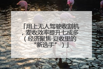 用上无人驾驶收割机，麦收效率提升七成多（经济聚焦·夏收里的“新选手”）