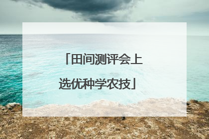 田间测评会上选优种学农技