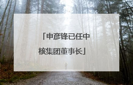 申彦锋已任中核集团董事长