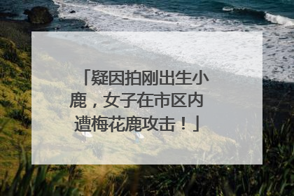 疑因拍刚出生小鹿，女子在市区内遭梅花鹿攻击！