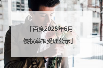 百度2025年6月侵权举报受理公示
