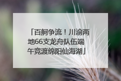 百舸争流！川渝两地66支龙舟队伍端午竞渡绵阳仙海湖
