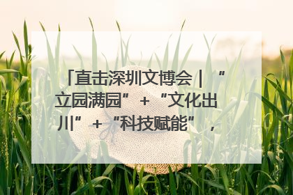 直击深圳文博会｜“立园满园”+“文化出川”+“科技赋能”，成都传媒发布三大文创领域合作清单