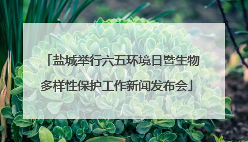 盐城举行六五环境日暨生物多样性保护工作新闻发布会