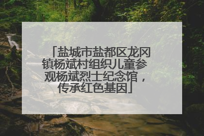 盐城市盐都区龙冈镇杨斌村组织儿童参观杨斌烈士纪念馆，传承红色基因