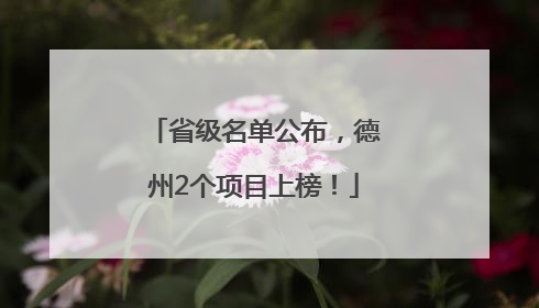 省级名单公布，德州2个项目上榜！