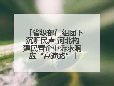 省级部门组团下沉听民声 河北构建民营企业诉求响应“高速路”