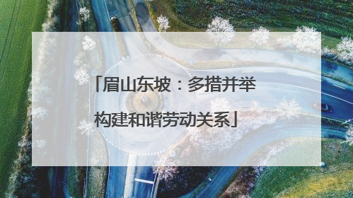 眉山东坡：多措并举构建和谐劳动关系