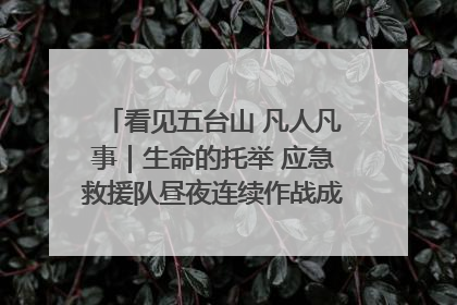 看见五台山 凡人凡事｜生命的托举 应急救援队昼夜连续作战成功救出两批被困游客