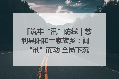 筑牢“汛”防线｜慈利县阳和土家族乡：闻“汛”而动 全员下沉筑牢防汛“安全堤”