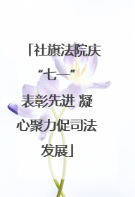社旗法院庆 “七一” 表彰先进 凝心聚力促司法发展