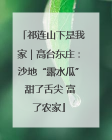 祁连山下是我家｜高台东庄：沙地“露水瓜” 甜了舌尖 富了农家