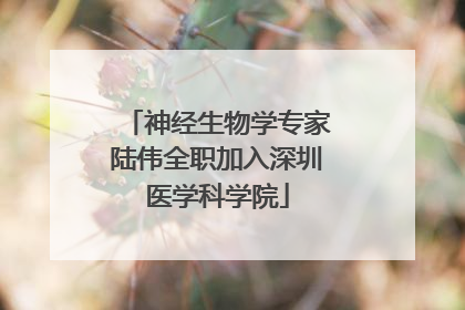 神经生物学专家陆伟全职加入深圳医学科学院