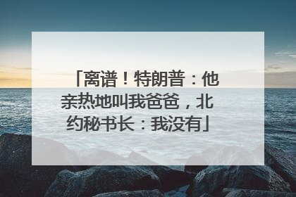 离谱！特朗普：他亲热地叫我爸爸，北约秘书长：我没有