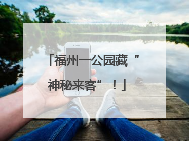 福州一公园藏“神秘来客”！