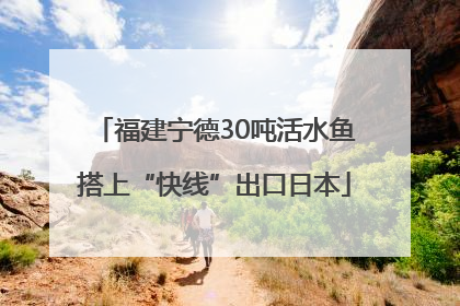 福建宁德30吨活水鱼搭上“快线”出口日本