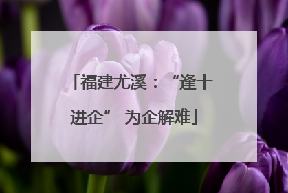 福建尤溪：“逢十进企” 为企解难