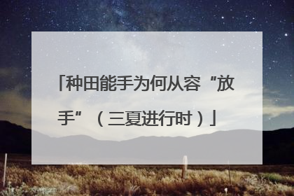 种田能手为何从容“放手”（三夏进行时）
