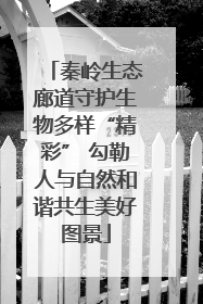 秦岭生态廊道守护生物多样“精彩” 勾勒人与自然和谐共生美好图景