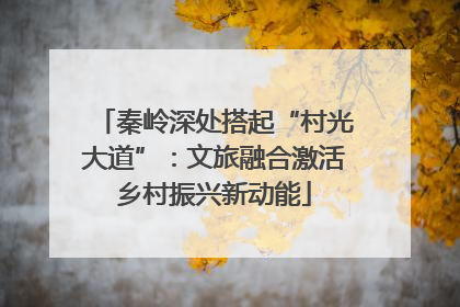 秦岭深处搭起“村光大道”：文旅融合激活乡村振兴新动能