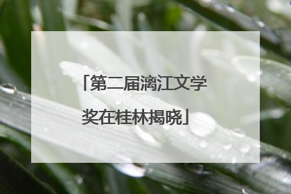 第二届漓江文学奖在桂林揭晓