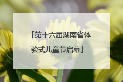 第十六届湖南省体验式儿童节启幕