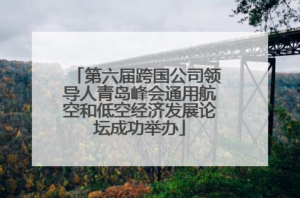 第六届跨国公司领导人青岛峰会通用航空和低空经济发展论坛成功举办