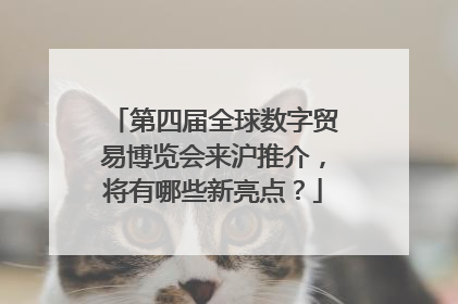 第四届全球数字贸易博览会来沪推介，将有哪些新亮点？