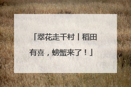翠花走千村丨稻田有喜，螃蟹来了！