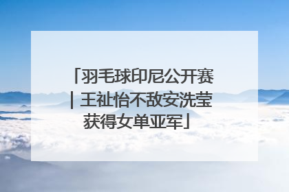 羽毛球印尼公开赛｜王祉怡不敌安洗莹 获得女单亚军