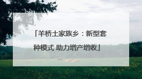 羊桥土家族乡：新型套种模式 助力增产增收