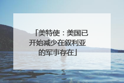 美特使：美国已开始减少在叙利亚的军事存在