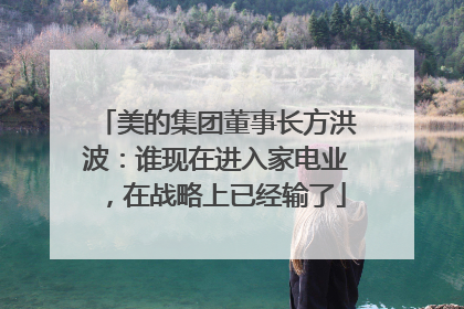 美的集团董事长方洪波：谁现在进入家电业，在战略上已经输了