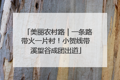 美丽农村路｜一条路带火一片村！小贺线带溪望谷成团出道