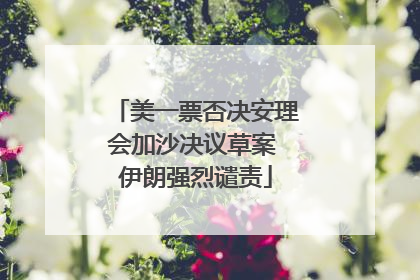 美一票否决安理会加沙决议草案 伊朗强烈谴责