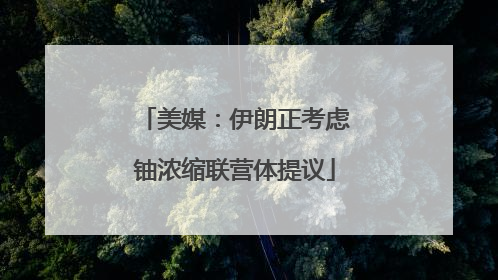美媒：伊朗正考虑铀浓缩联营体提议